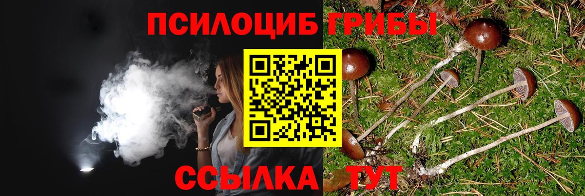 Псилоцибиновые грибы MAGIC MUSHROOMS Аргун