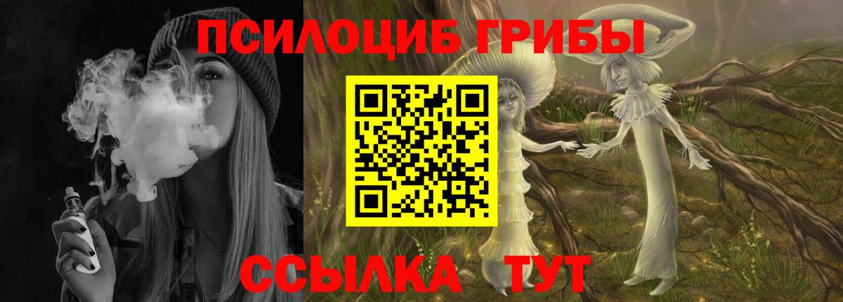 Псилоцибиновые грибы Psilocybine cubensis  Вход с VPN  магазин  наркотиков  Аргун 